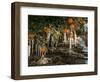 Drip Irrigation Creates Icicles and Forms an Insulation and Way of Protecting Oranges on the Trees-Gary Kazanjian-Framed Photographic Print