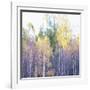 Dripping Leaves-Jacob Berghoef-Framed Photographic Print