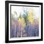 Dripping Leaves-Jacob Berghoef-Framed Photographic Print