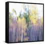 Dripping Leaves-Jacob Berghoef-Framed Stretched Canvas