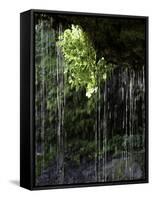 Dripping Water at Grotto Falls, Montana-Ryan Ross-Framed Stretched Canvas