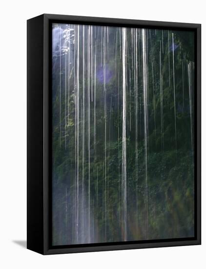 Dripping Water at Grotto Falls, Montana-Ryan Ross-Framed Stretched Canvas