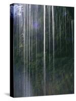 Dripping Water at Grotto Falls, Montana-Ryan Ross-Stretched Canvas