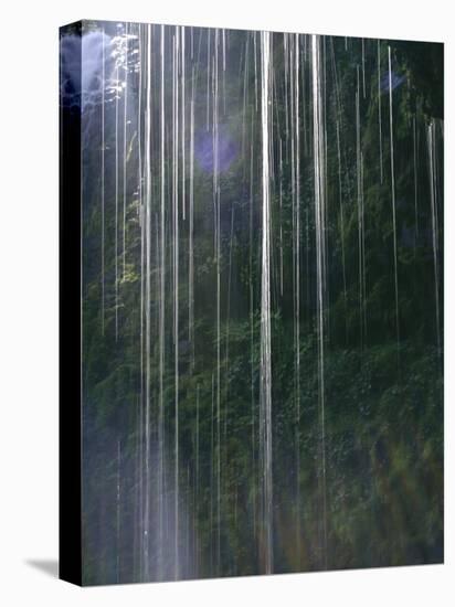 Dripping Water at Grotto Falls, Montana-Ryan Ross-Stretched Canvas