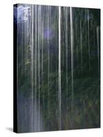 Dripping Water at Grotto Falls, Montana-Ryan Ross-Stretched Canvas