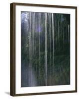 Dripping Water at Grotto Falls, Montana-Ryan Ross-Framed Photographic Print