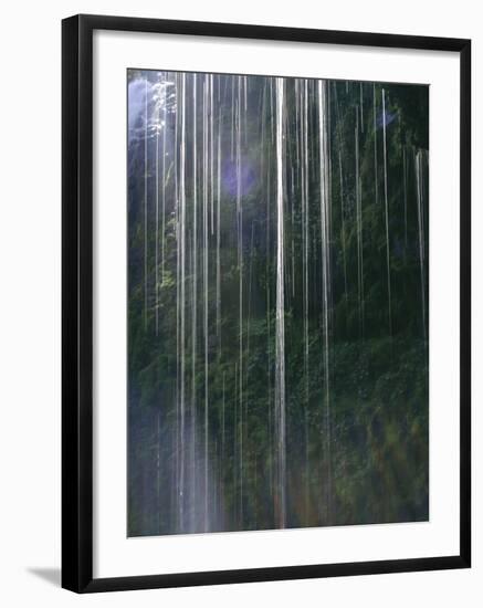Dripping Water at Grotto Falls, Montana-Ryan Ross-Framed Photographic Print