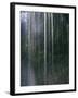 Dripping Water at Grotto Falls, Montana-Ryan Ross-Framed Photographic Print