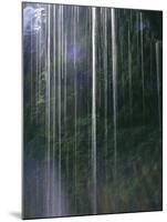 Dripping Water at Grotto Falls, Montana-Ryan Ross-Mounted Photographic Print