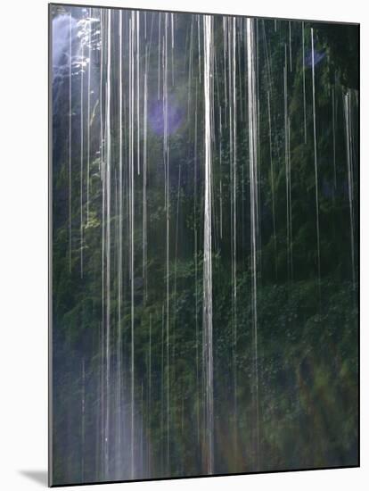 Dripping Water at Grotto Falls, Montana-Ryan Ross-Mounted Photographic Print