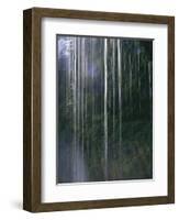 Dripping Water at Grotto Falls, Montana-Ryan Ross-Framed Photographic Print