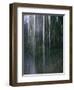 Dripping Water at Grotto Falls, Montana-Ryan Ross-Framed Photographic Print