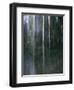 Dripping Water at Grotto Falls, Montana-Ryan Ross-Framed Photographic Print