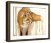 Drippy Red Fox-Joni Johnson-Godsy-Framed Giclee Print