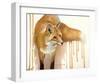Drippy Red Fox-Joni Johnson-Godsy-Framed Giclee Print