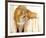 Drippy Red Fox-Joni Johnson-Godsy-Framed Giclee Print