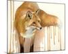 Drippy Red Fox-Joni Johnson-Godsy-Mounted Giclee Print