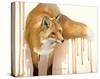 Drippy Red Fox-Joni Johnson-Godsy-Stretched Canvas