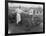 Driver and No.4 Racecar, Tacoma Speedway, Circa 1919-Marvin Boland-Framed Giclee Print