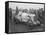 Driver and No.5 Racecar, Tacoma Speedway, Circa 1919-Marvin Boland-Framed Stretched Canvas
