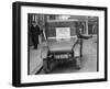 Driver Is a Novice-null-Framed Photographic Print