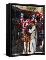 Driver of Colourful Horse Cart, Maimana, Faryab Province, Afghanistan-Jane Sweeney-Framed Stretched Canvas