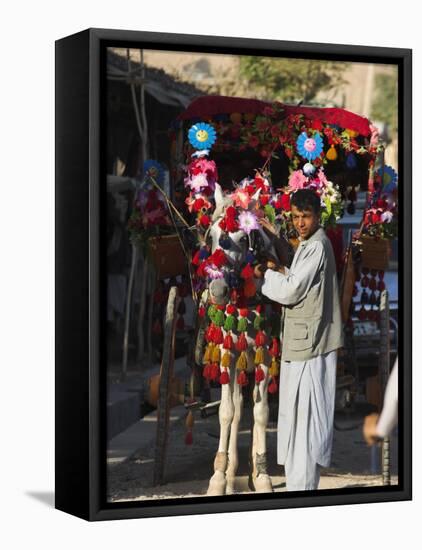 Driver of Colourful Horse Cart, Maimana, Faryab Province, Afghanistan-Jane Sweeney-Framed Stretched Canvas