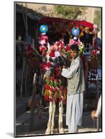 Driver of Colourful Horse Cart, Maimana, Faryab Province, Afghanistan-Jane Sweeney-Mounted Photographic Print