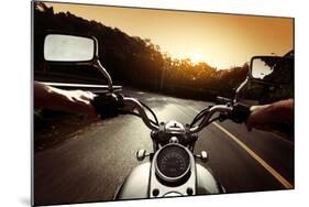 Driver Riding Motorcycle On An Asphalt Road Through Forest-Dudarev Mikhail-Mounted Art Print