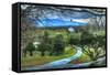 Driveway View-Robert Goldwitz-Framed Stretched Canvas