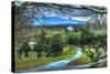 Driveway View-Robert Goldwitz-Stretched Canvas
