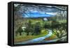 Driveway View-Robert Goldwitz-Framed Stretched Canvas