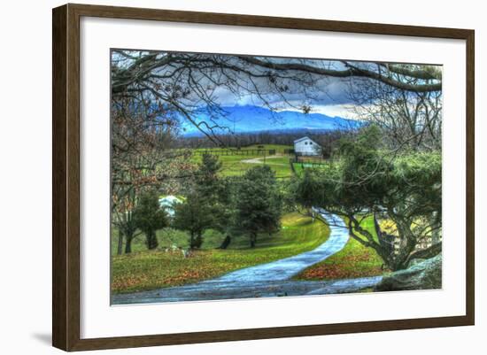 Driveway View-Robert Goldwitz-Framed Photographic Print