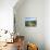 Driveway with Common Dandelion in Flower, Near Glacier National Park, Montana-James Hager-Photographic Print displayed on a wall