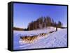 Driving a Dogsled with a Team of 8 Siberian Huskies, Karelia, Finland, Europe-Louise Murray-Framed Stretched Canvas