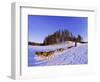 Driving a Dogsled with a Team of 8 Siberian Huskies, Karelia, Finland, Europe-Louise Murray-Framed Photographic Print