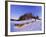 Driving a Dogsled with a Team of 8 Siberian Huskies, Karelia, Finland, Europe-Louise Murray-Framed Photographic Print