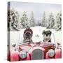 Driving Car Through a Snow Scene-null-Stretched Canvas