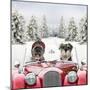 Driving Car Through a Snow Scene-null-Mounted Photographic Print