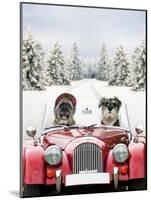Driving Car Through a Snow Scene-null-Mounted Photographic Print