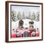 Brown Frame