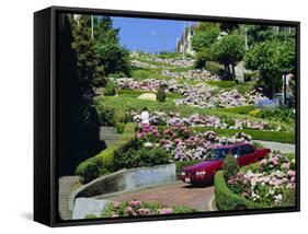 Driving Down Lombard Street, Russian Hill, California-Amanda Hall-Framed Stretched Canvas