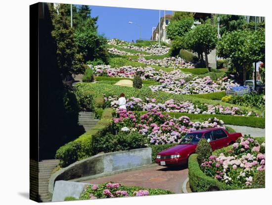 Driving Down Lombard Street, Russian Hill, California-Amanda Hall-Stretched Canvas