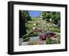 Driving Down Lombard Street, Russian Hill, California-Amanda Hall-Framed Photographic Print