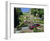 Driving Down Lombard Street, Russian Hill, California-Amanda Hall-Framed Photographic Print