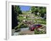Driving Down Lombard Street, Russian Hill, California-Amanda Hall-Framed Photographic Print