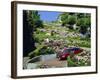 Driving Down Lombard Street, Russian Hill, California-Amanda Hall-Framed Photographic Print
