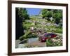 Driving Down Lombard Street, Russian Hill, California-Amanda Hall-Framed Photographic Print