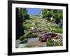 Driving Down Lombard Street, Russian Hill, California-Amanda Hall-Framed Photographic Print