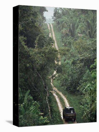 Driving in the Rain Forest, Lubaantun, Toledo District, Belize, Central America-Upperhall-Stretched Canvas